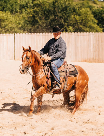 Billy Rey Vaughn - Quarter Horse Stallion