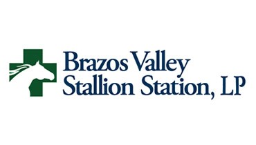 Brazos Valley Stallion Station